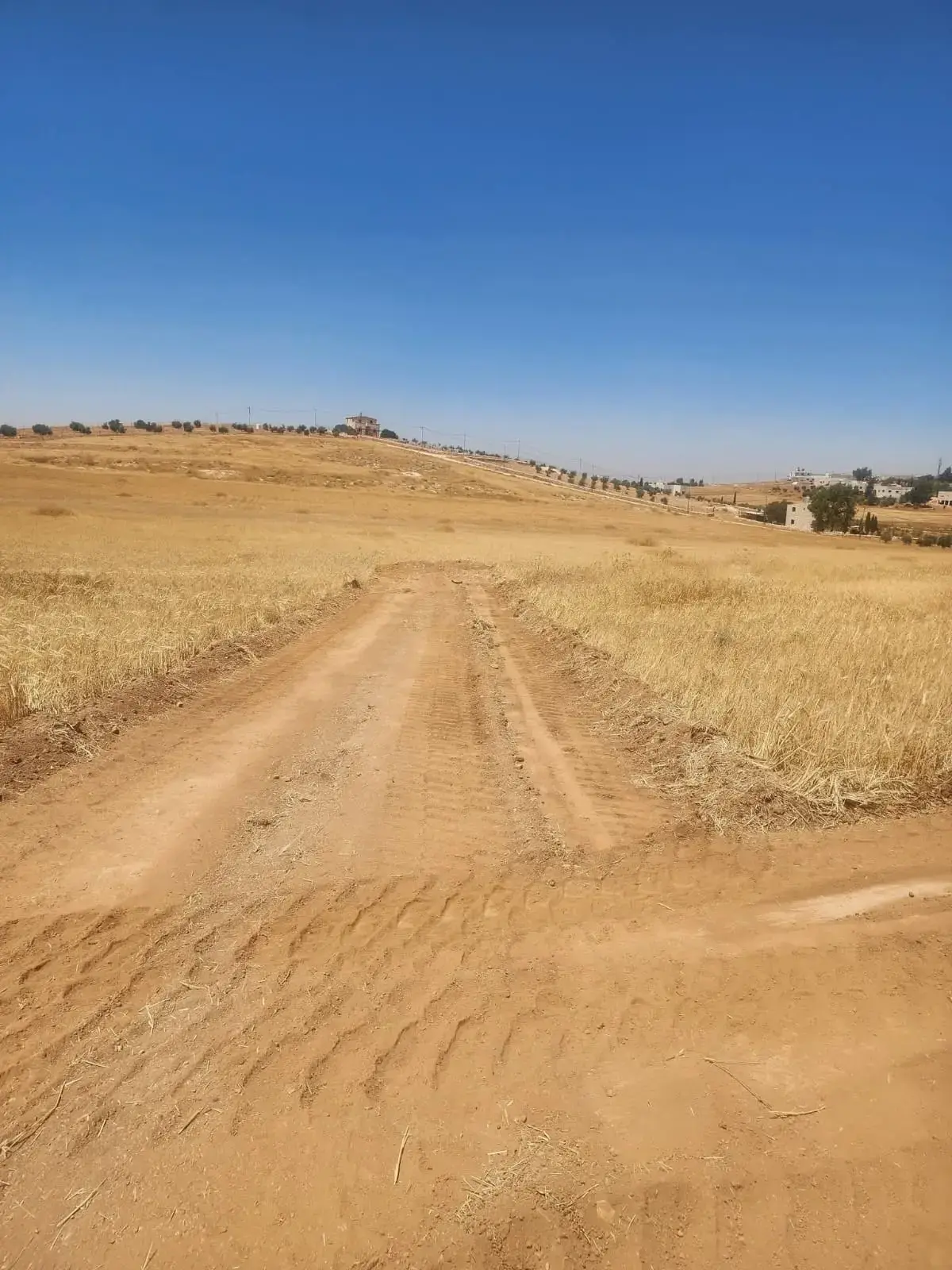 Land for sale in Rhab – photo 7