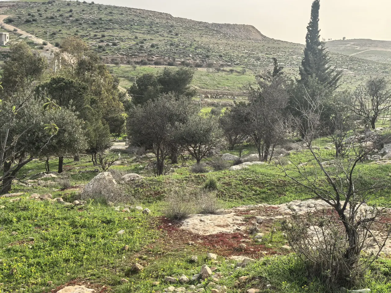 أرض للبيع في Bala'ama – صورة 3