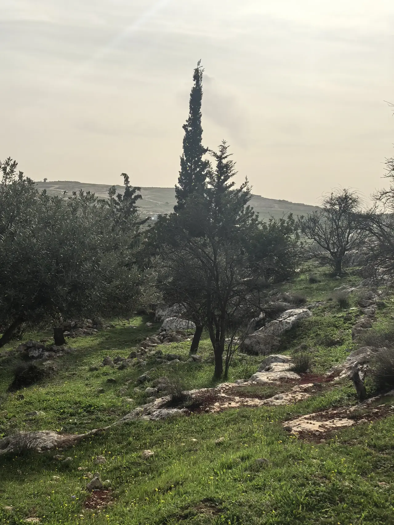 أرض للبيع في Bala'ama – صورة 14