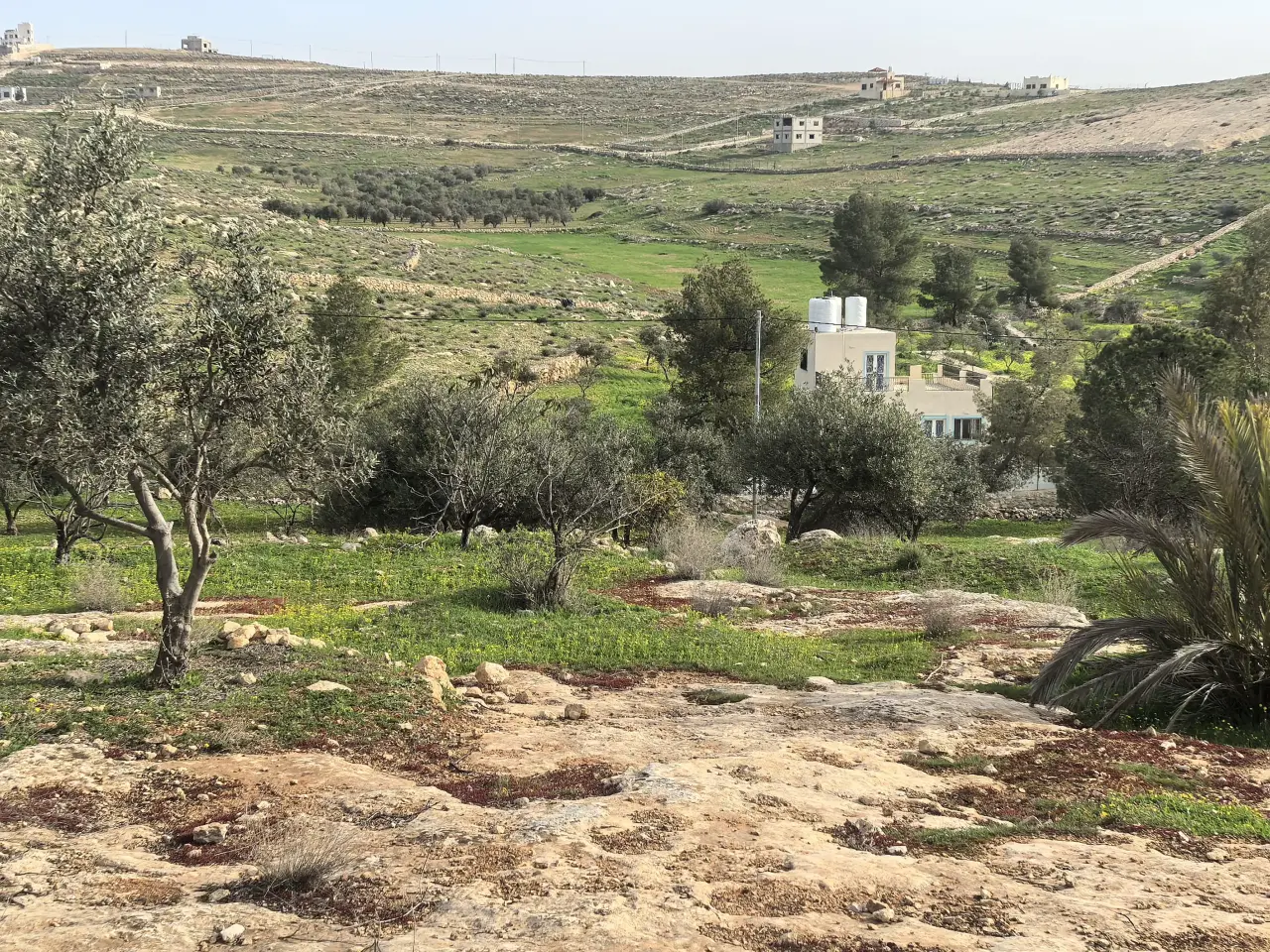 أرض 4 دونمات مشجرة مع بئر ماء في بلعما قرب إسكان الملك عبدالله الثاني