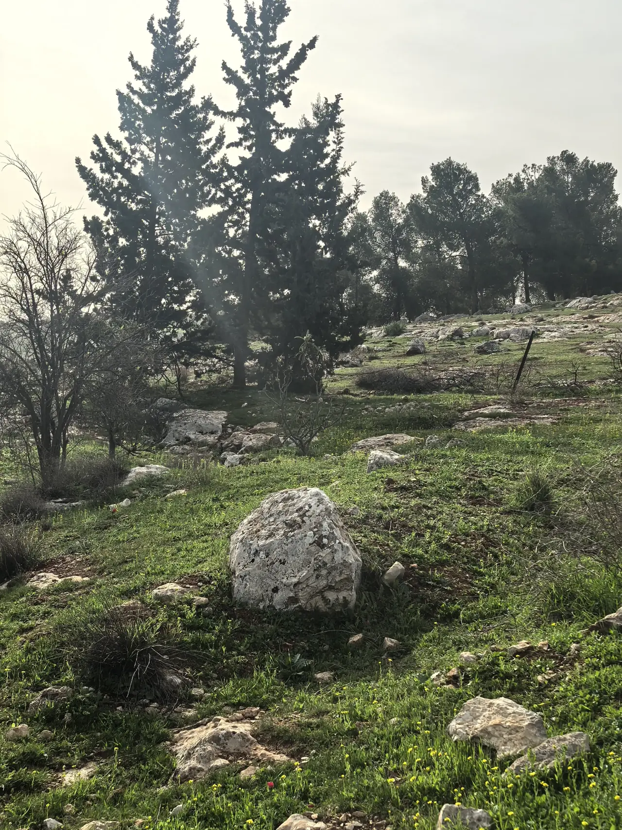 أرض للبيع في Bala'ama – صورة 13