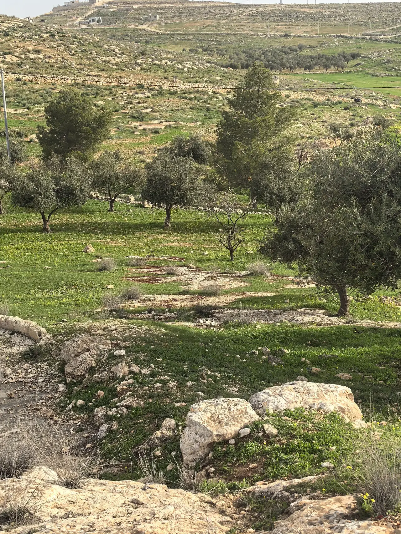 أرض للبيع في Bala'ama – صورة 20