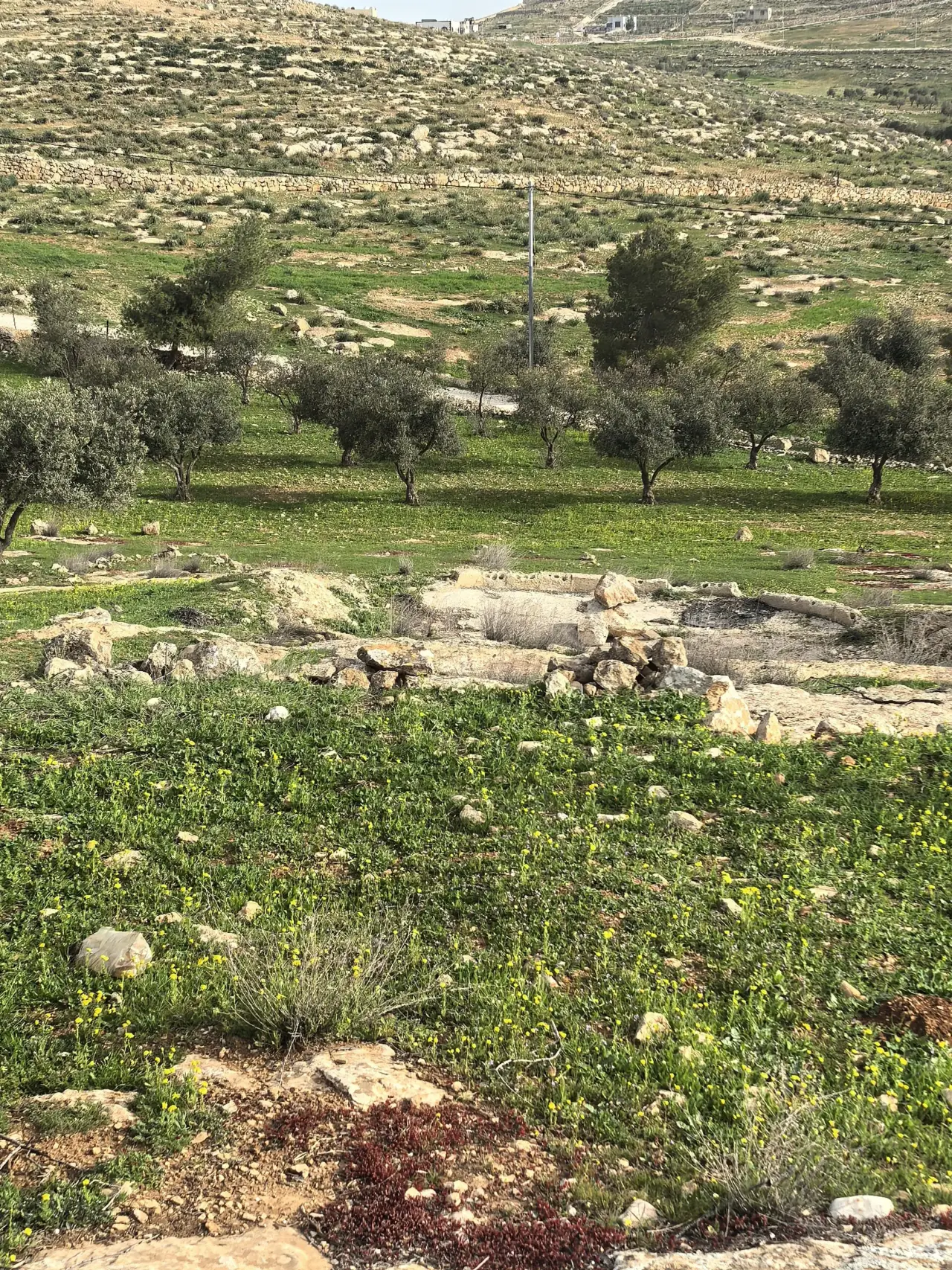 أرض للبيع في Bala'ama – صورة 7
