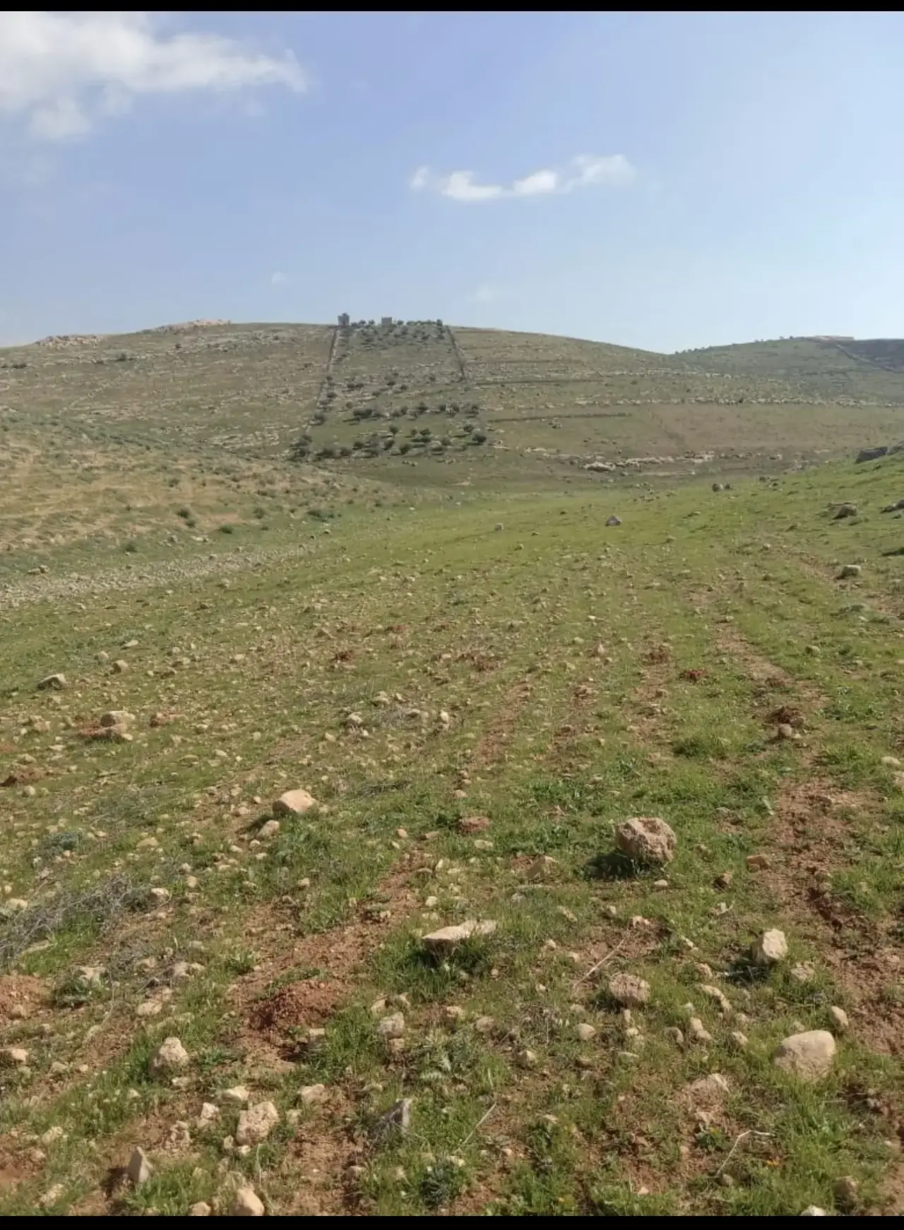 Land for sale in Ain wa Al-Ma'mariyyeh – photo 3