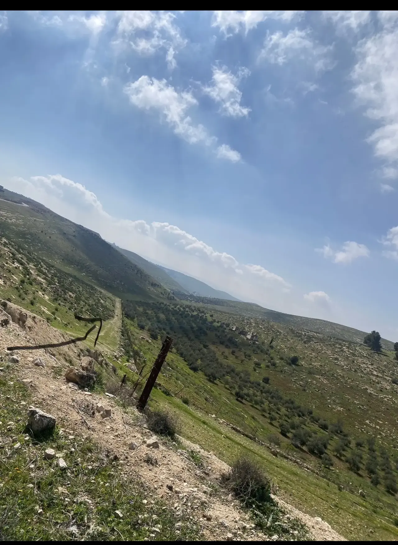 Land for sale in Ain wa Al-Ma'mariyyeh – photo 6