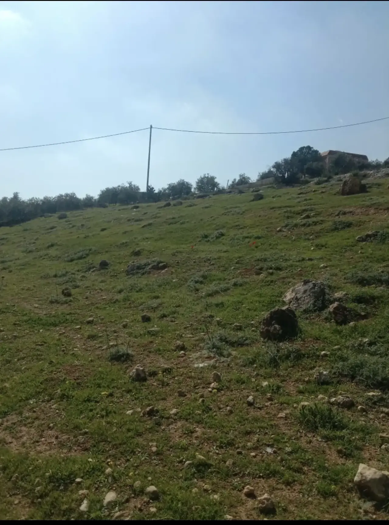 Land for sale in Ain wa Al-Ma'mariyyeh – photo 5