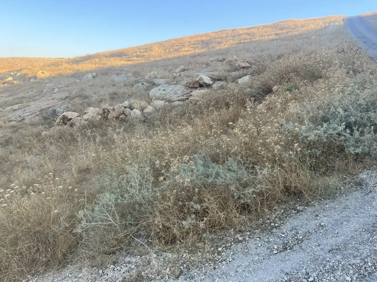 Land for sale in Ain wa Al-Ma'mariyyeh – photo 3