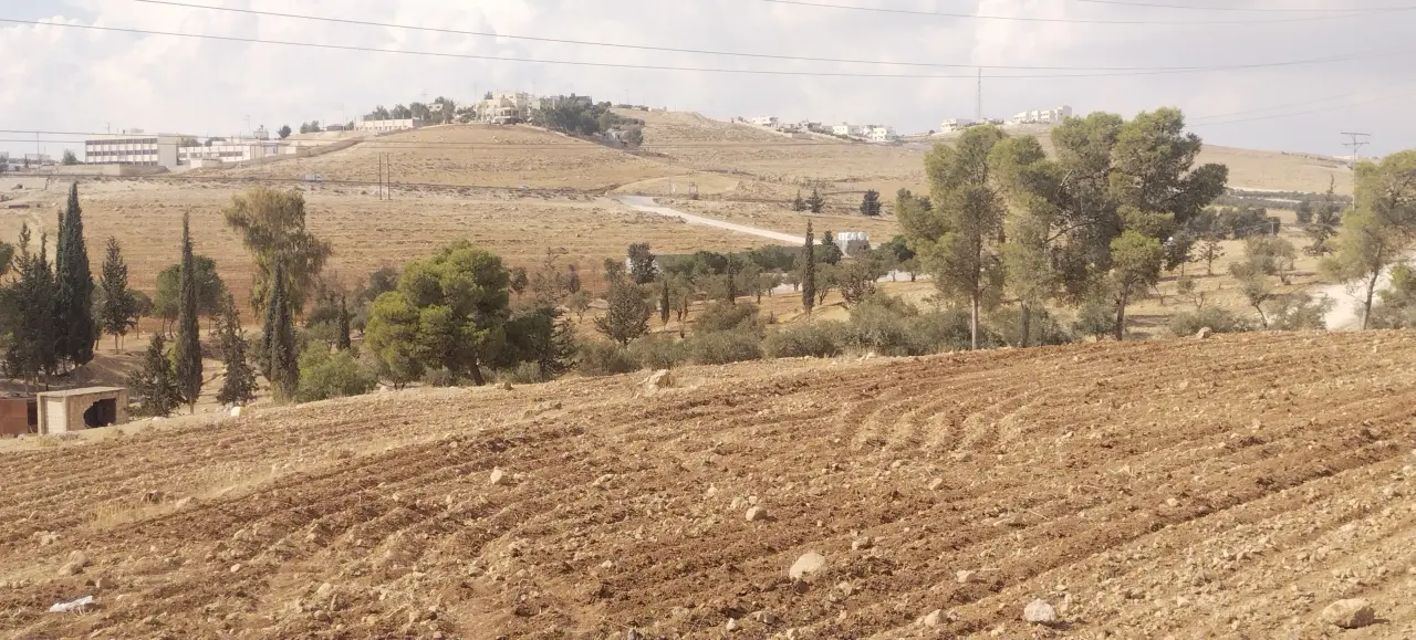 Land for sale in Ain wa Al-Ma'mariyyeh – photo 8