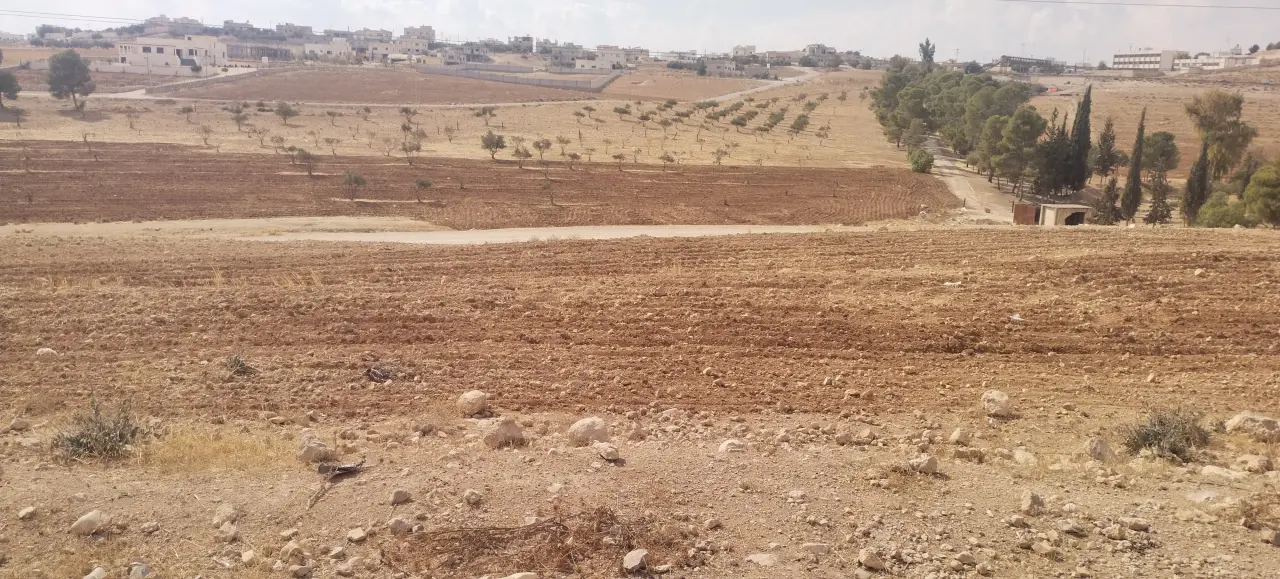 Land for sale in Ain wa Al-Ma'mariyyeh – photo 6