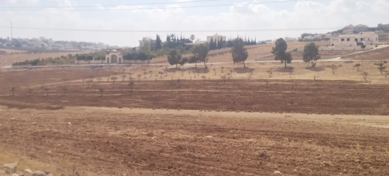 Land for sale in Ain wa Al-Ma'mariyyeh – photo 4