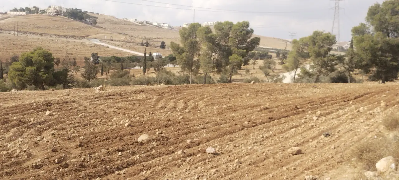 Land for sale in Ain wa Al-Ma'mariyyeh – photo 5