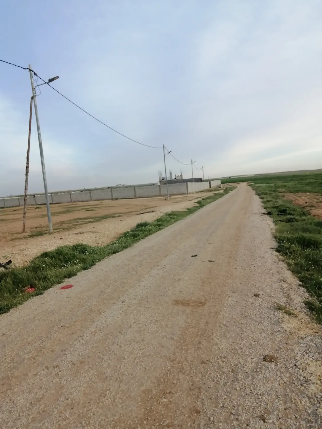 Land for sale in Thaghrat Al-Gub – photo 5