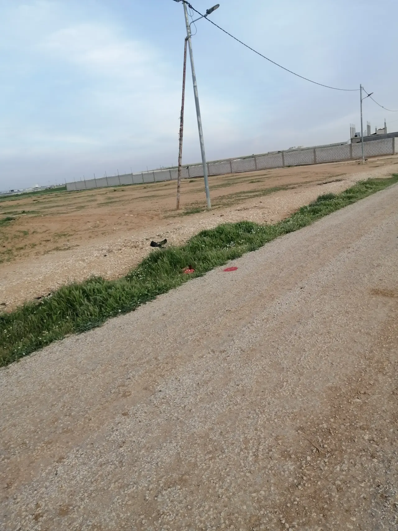 Land for sale in Thaghrat Al-Gub – photo 3