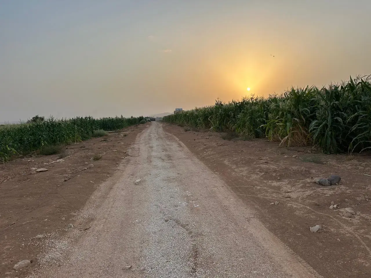 Land for sale in Thaghrat Al-Gub – photo 7