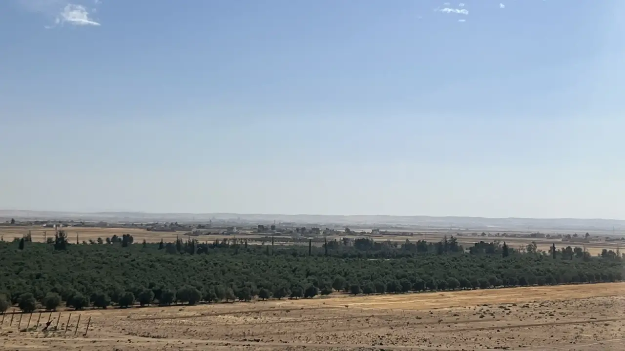 Land for sale in Um Al Jimal – photo 2