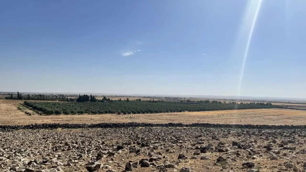Land for sale in Um Al Jimal – photo 3