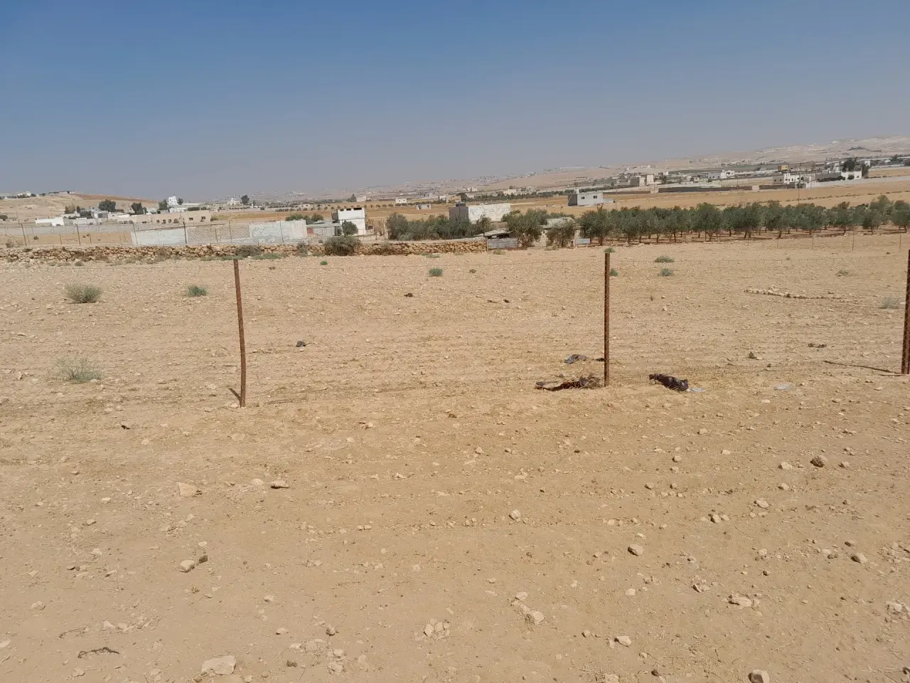 أرض للبيع في Al-Zaytouna – صورة 3