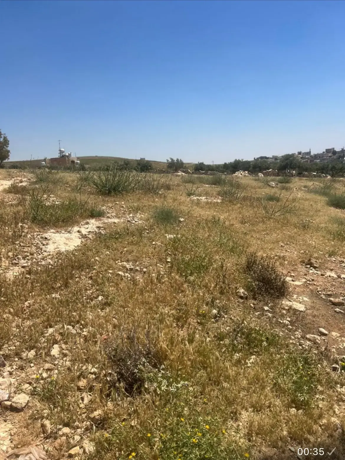 Land for sale in Hayyan Al Moshref – photo 7