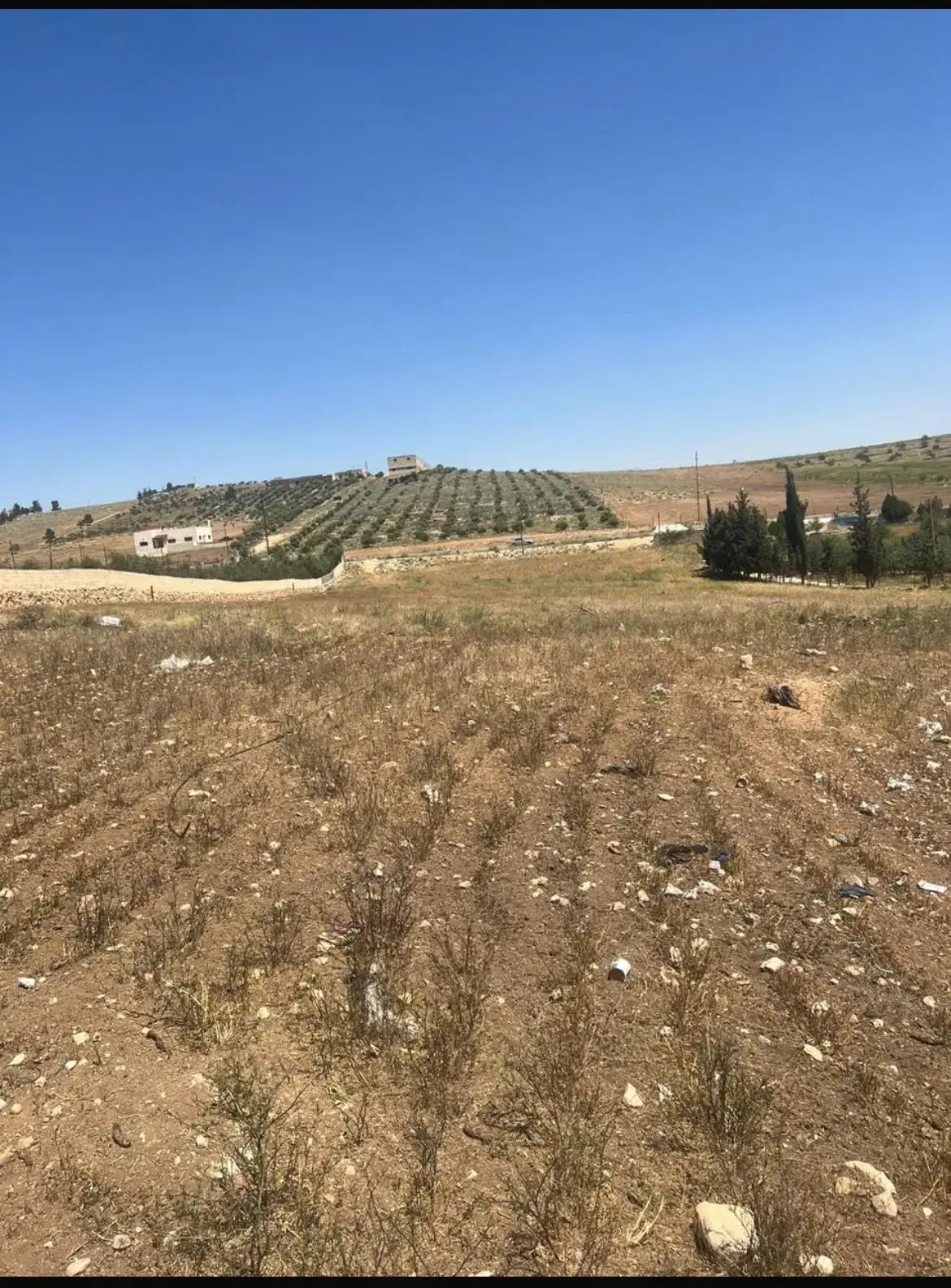 Land for sale in Hayyan Al Moshref – photo 3