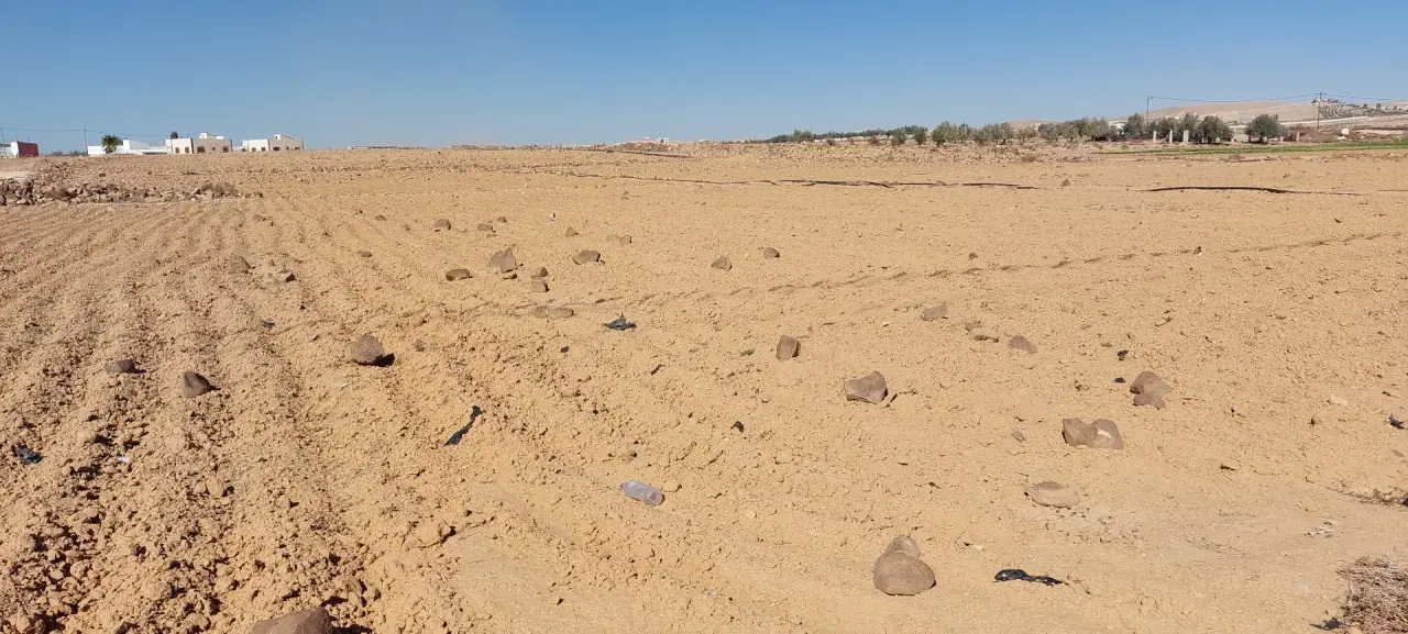 Land for sale in Al-Khirba Al-Samra – photo 4