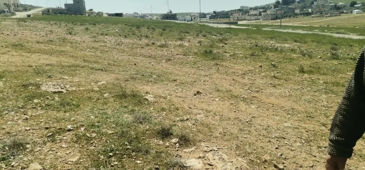Land for sale in Al-Hamra – photo 4