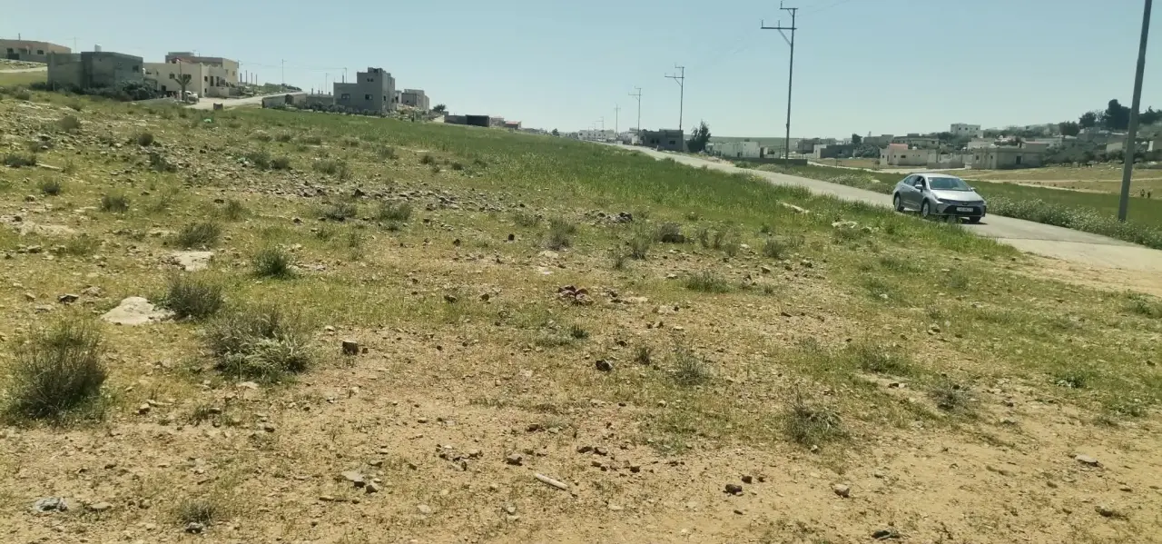 Land for sale in Al-Hamra – photo 5
