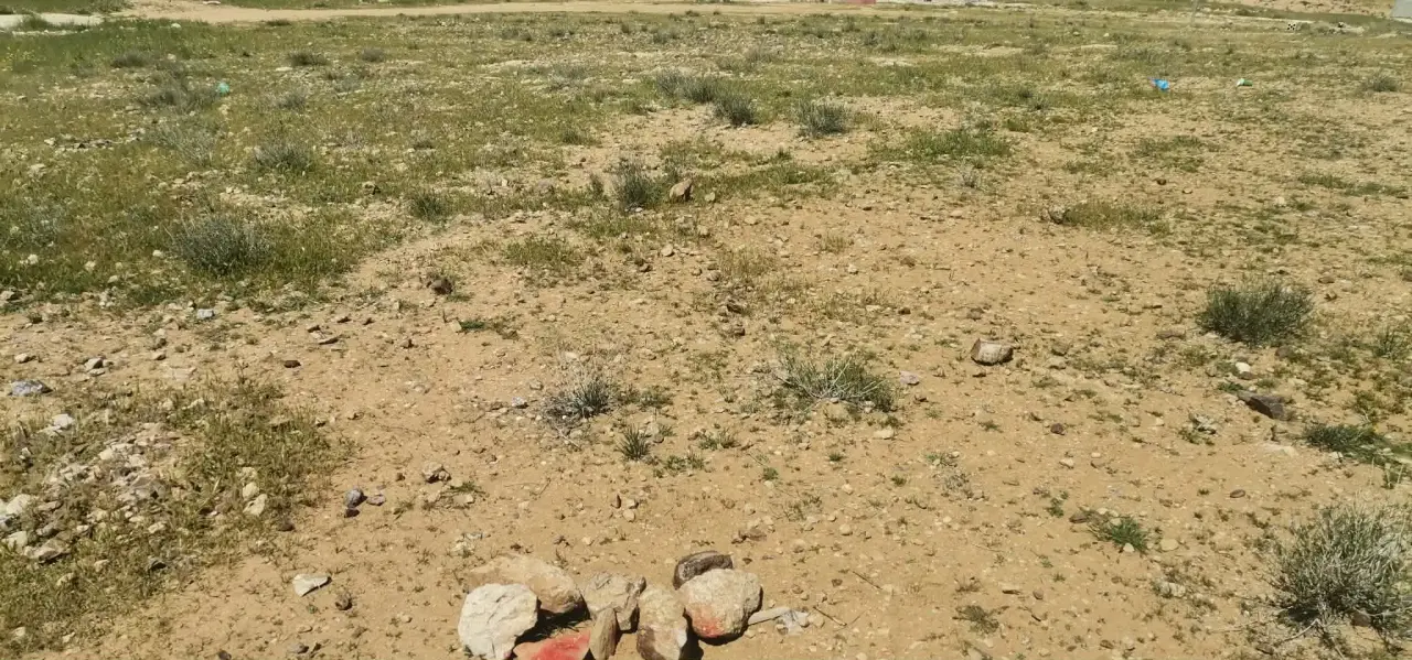 Land for sale in Al-Hamra – photo 3
