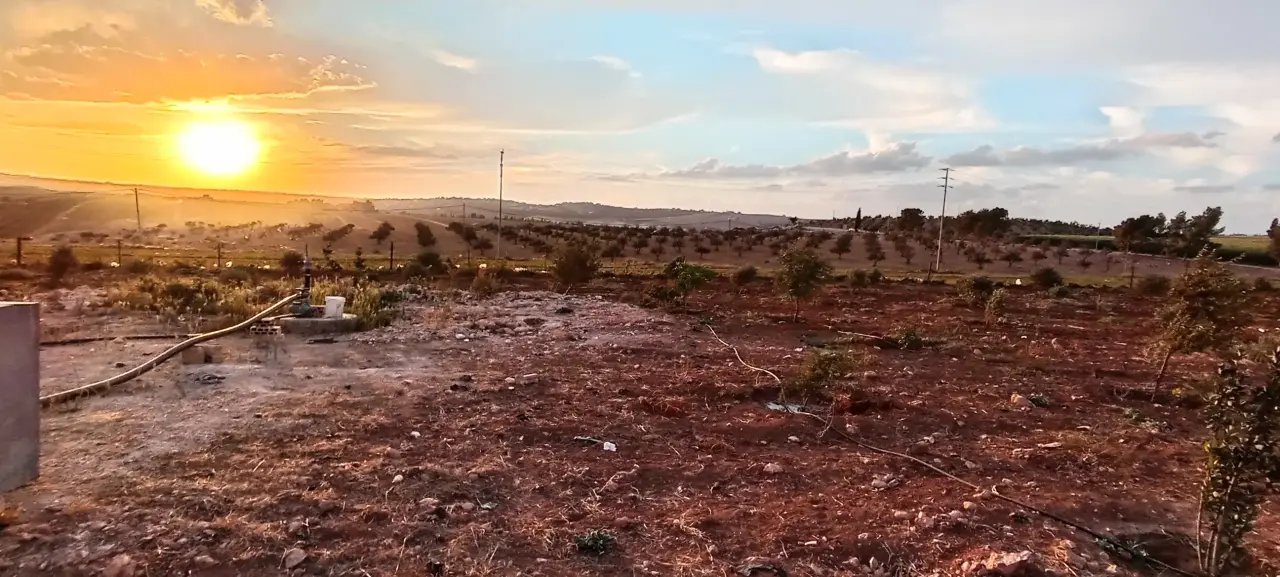 أرض للبيع في Romtha – صورة 4
