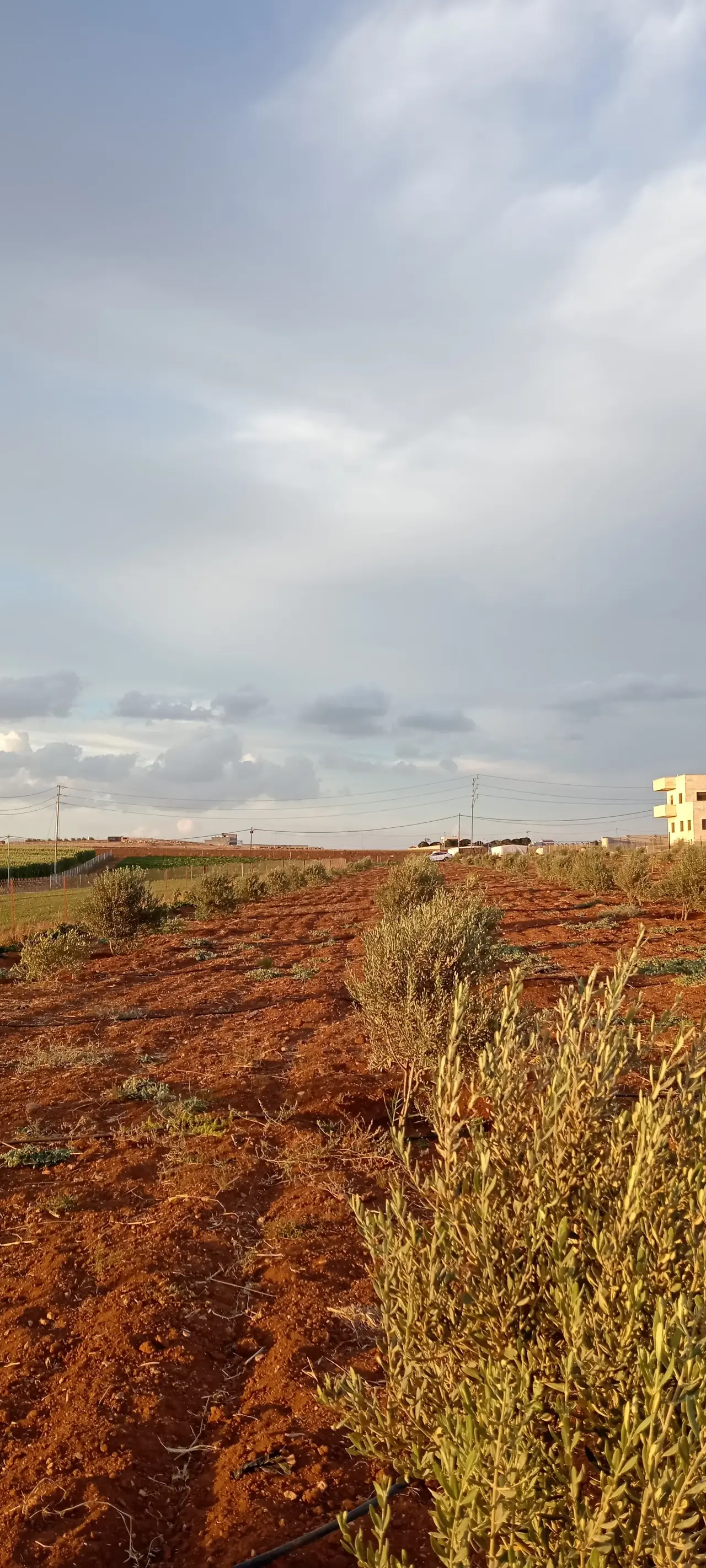 أرض للبيع في Romtha – صورة 9