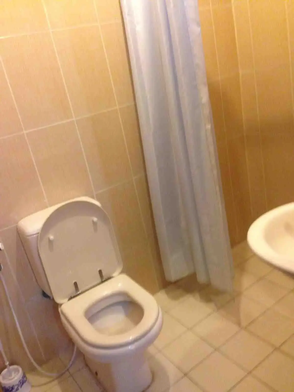 Apartment for rent in Sports City Road – photo 20