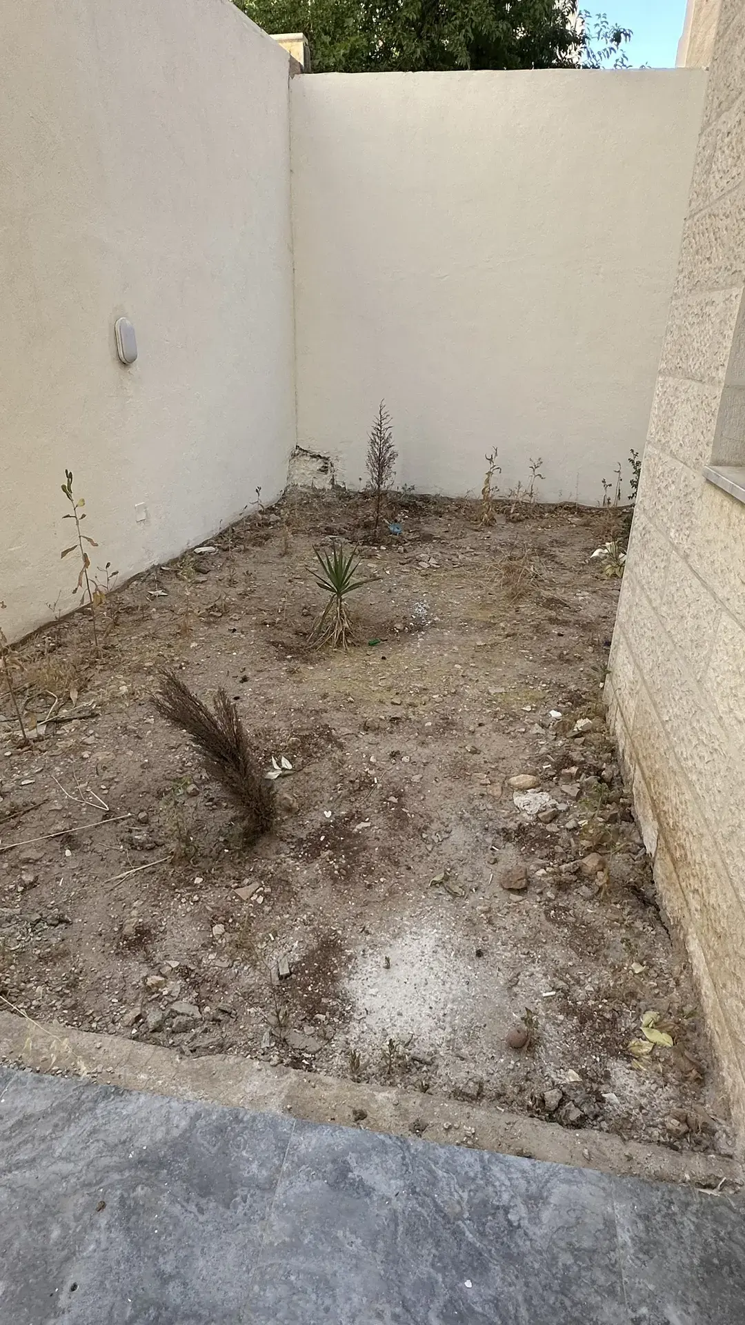 Apartment for rent in Dahyet Al Yasmeen – photo 15