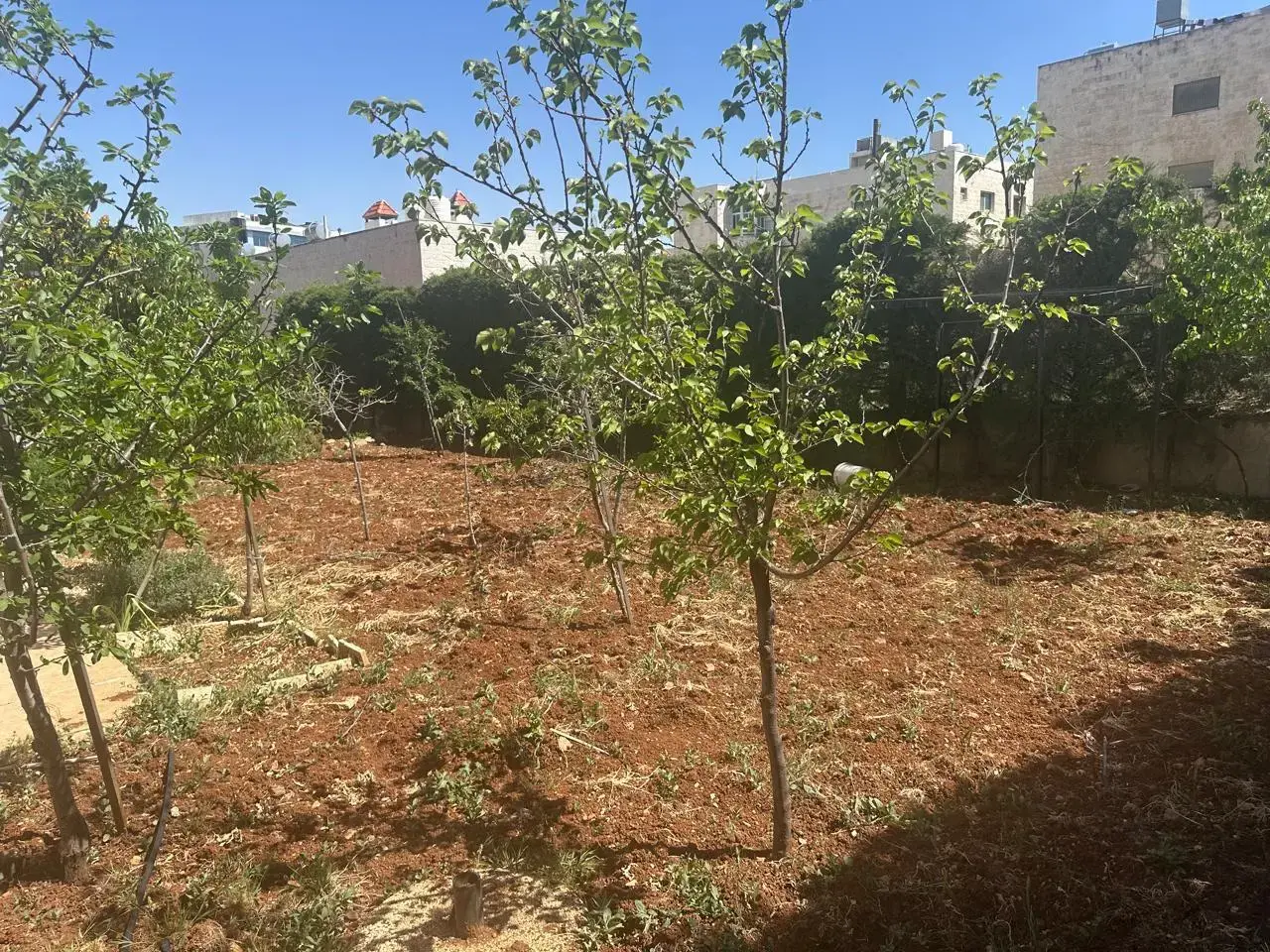 Villa for sale in Al Jandaweel – photo 11