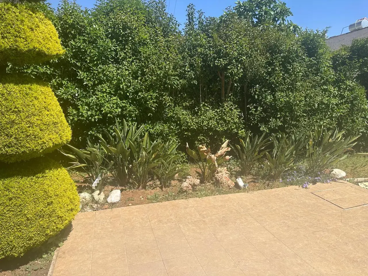 Villa for sale in Al Jandaweel – photo 6