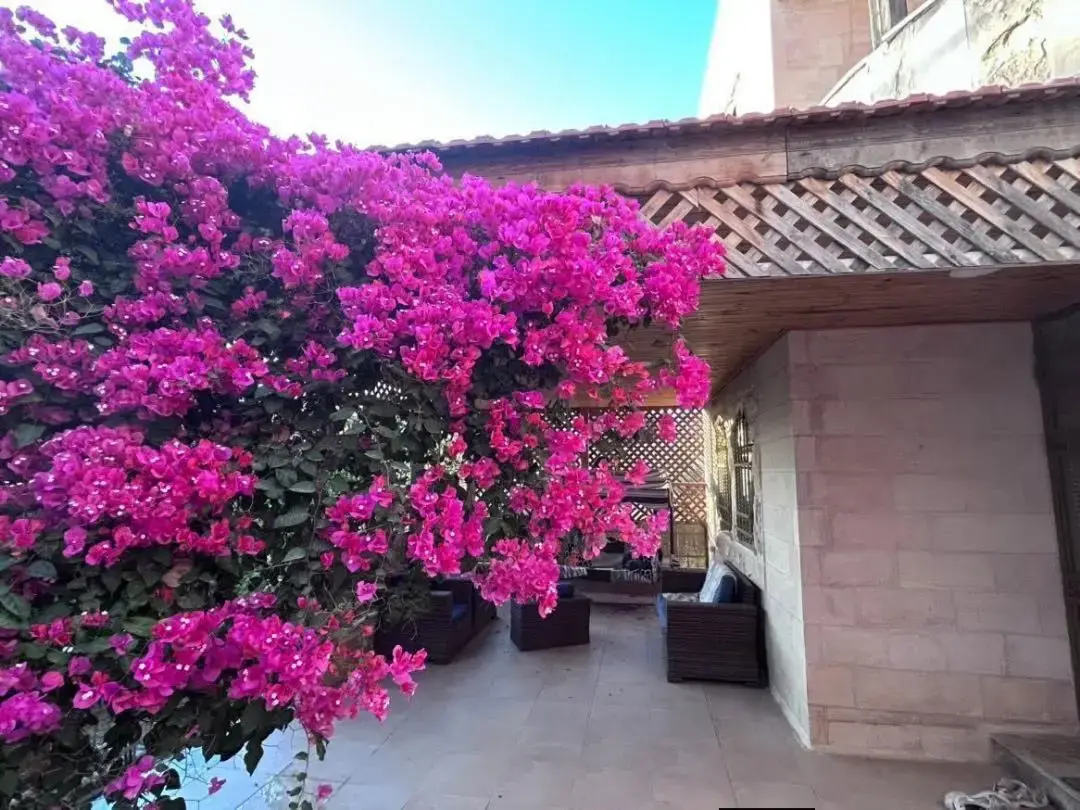 Villa for sale in Mahes – photo 4