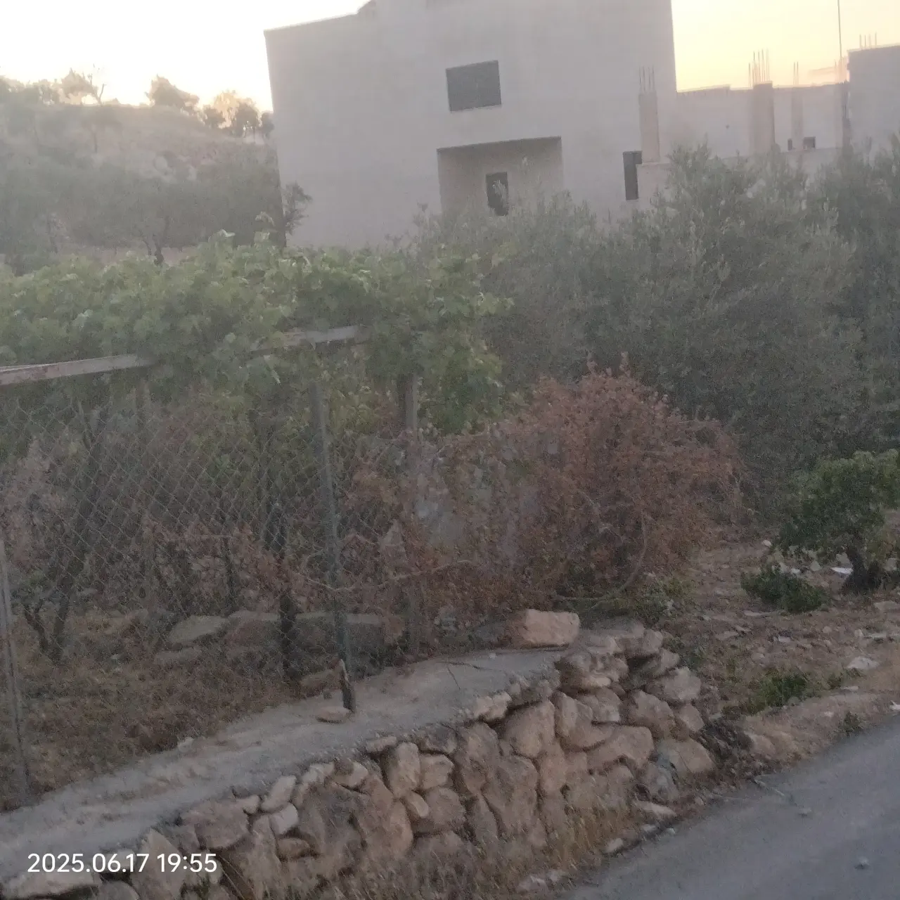 Land for sale in Safoot – photo 14