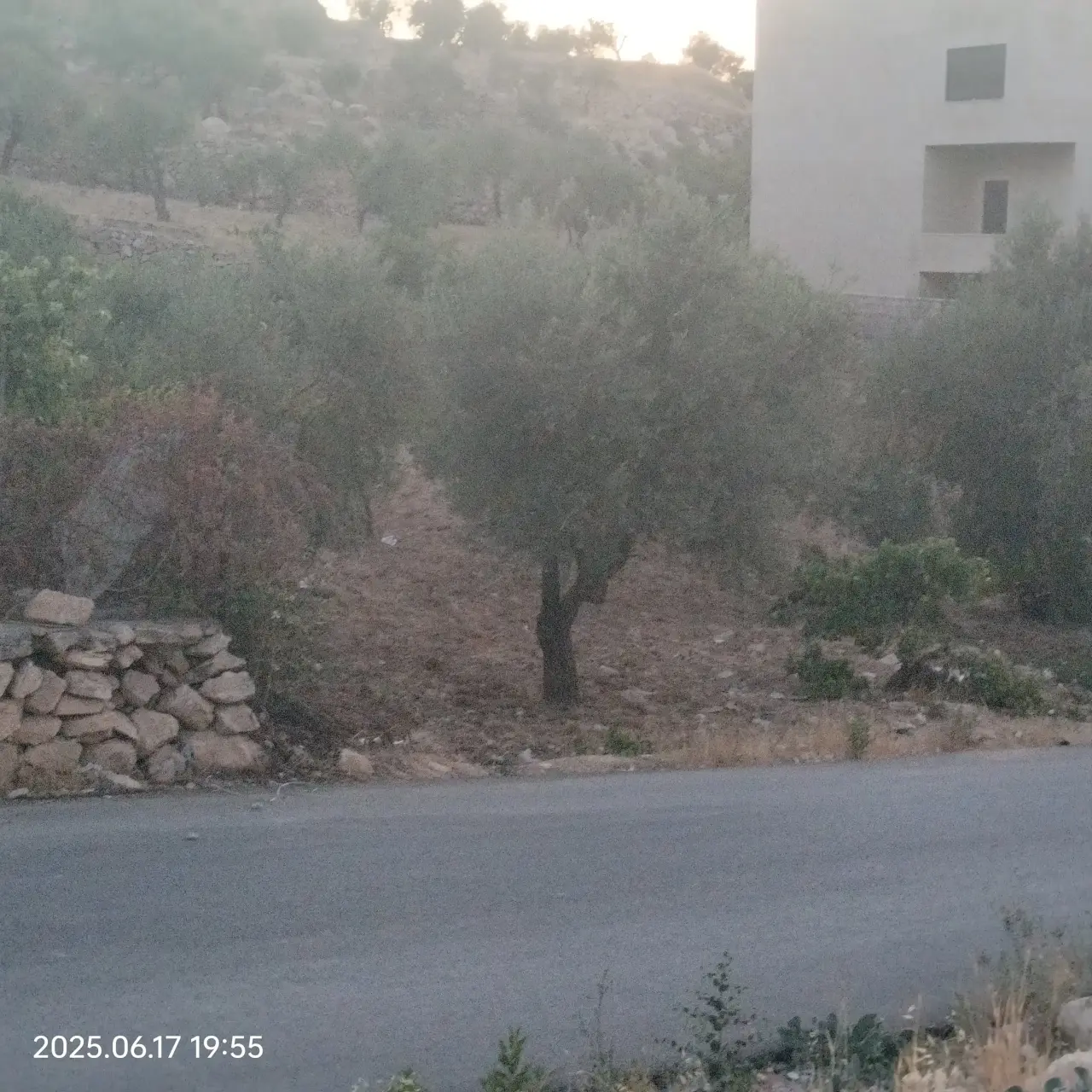 Safoot, Al Jubayha: high 820 m² plot overlooking Amman, suits a housing project