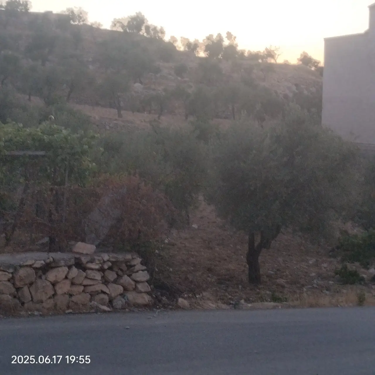 Land for sale in Safoot – photo 7