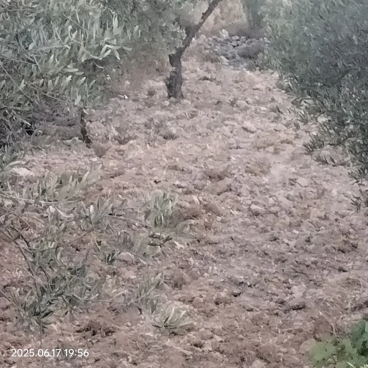 Land for sale in Safoot – photo 6