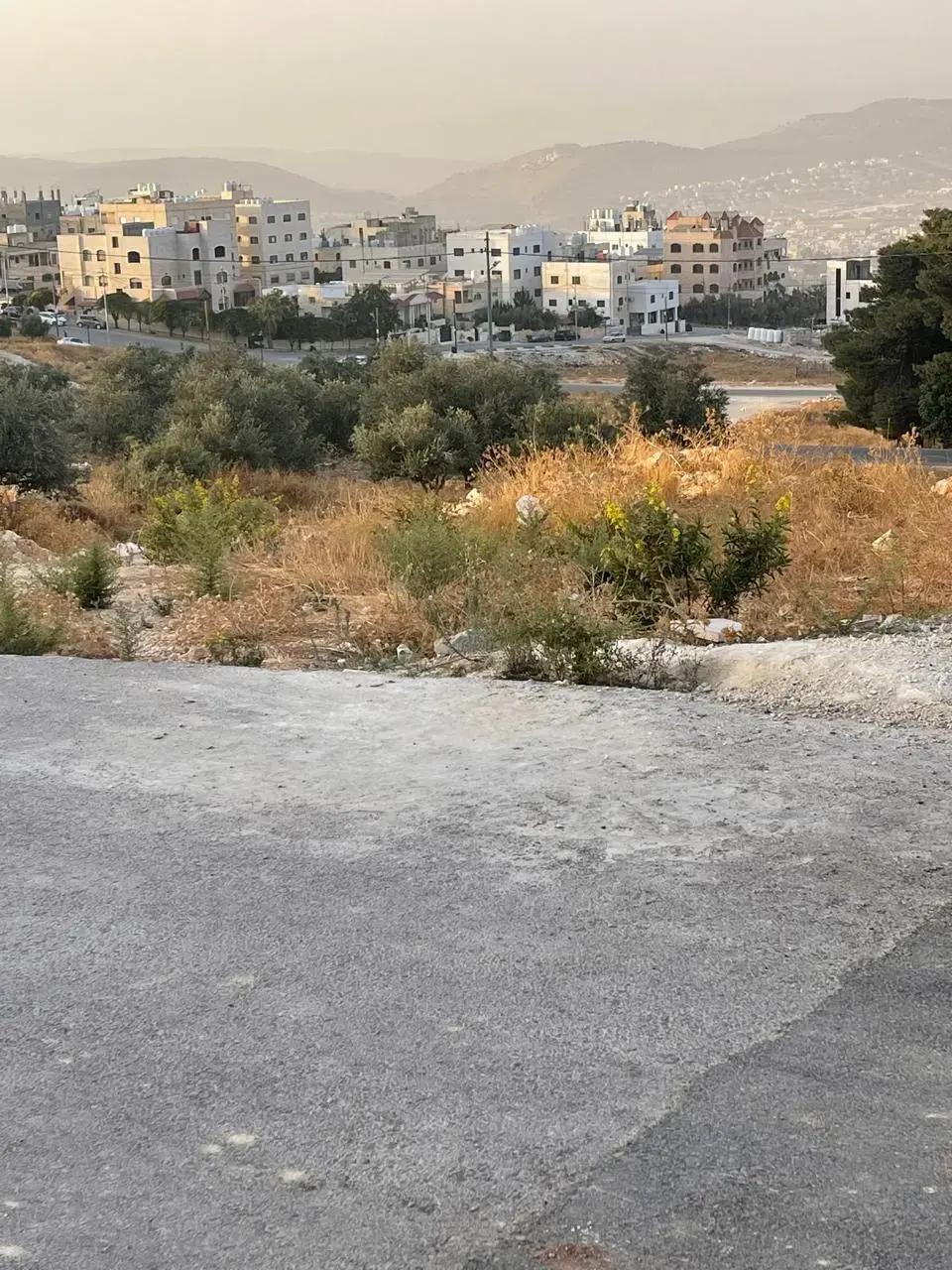 Land for sale in Safoot – photo 5