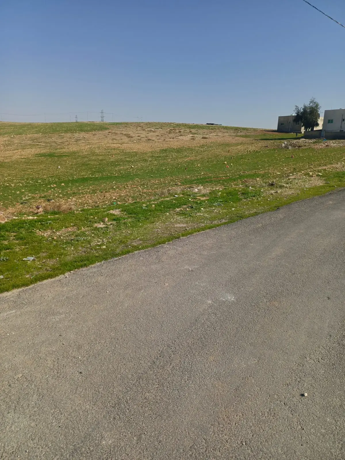 Land for sale in Al-Baida – photo 3