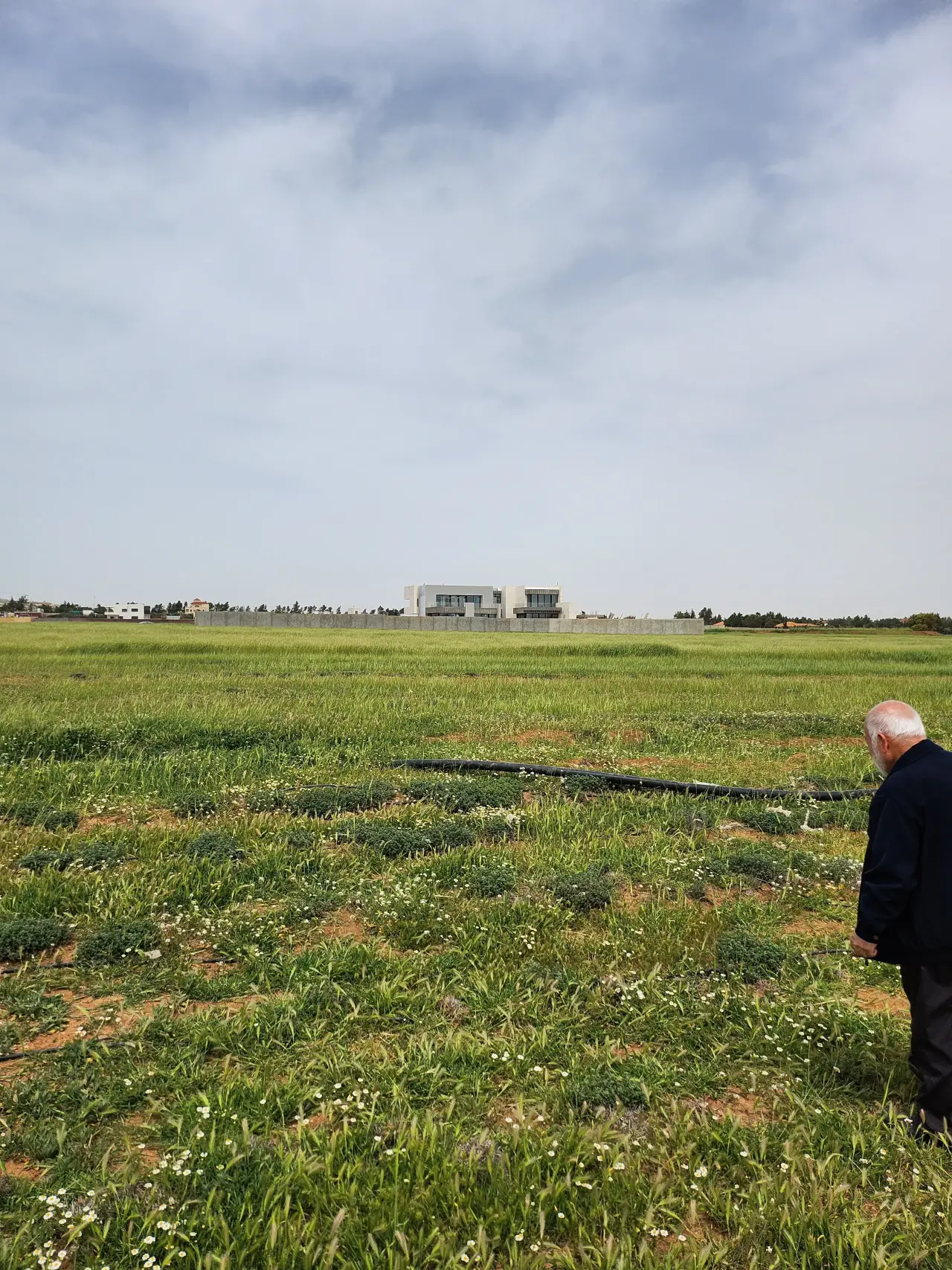 Land for sale in Umm Al-Amad – photo 6