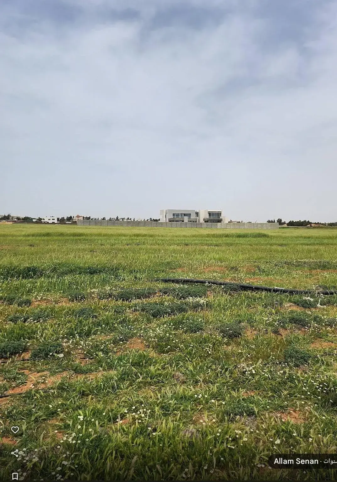 Al Najmiyya basin farmland in Umm Al-Amad, about 10 dunums, for sale