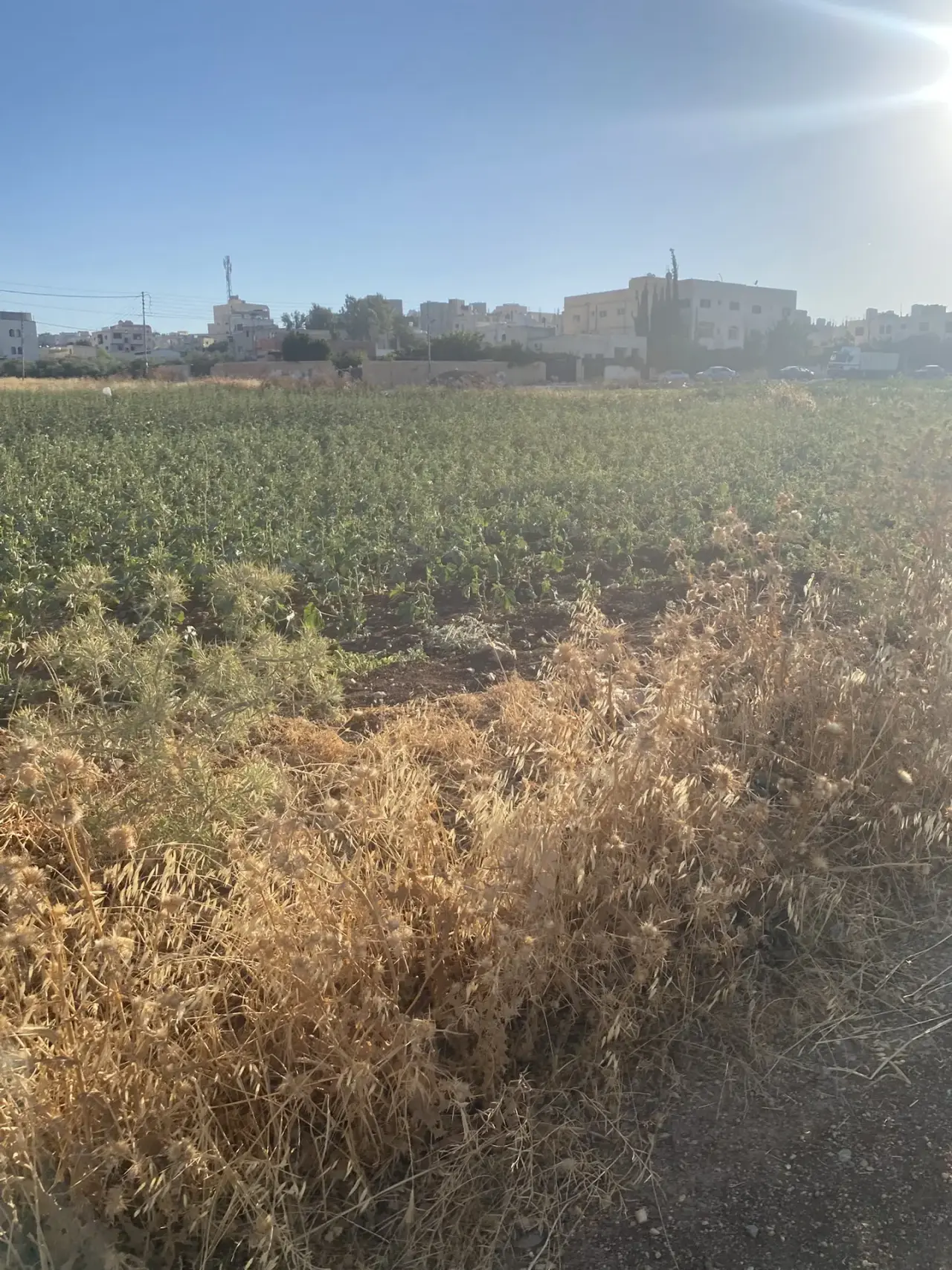 Land for sale in Jawa – photo 2