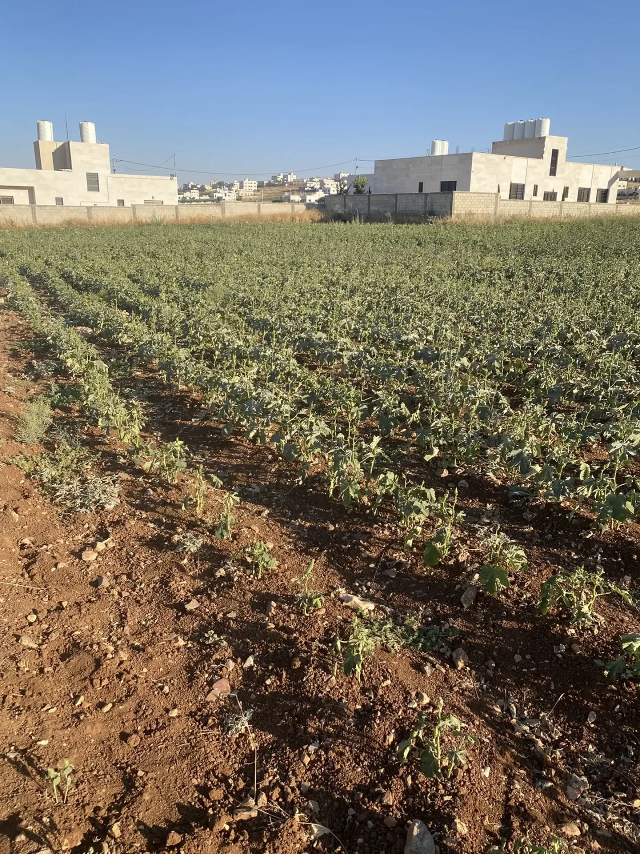 Subdivided 689 m² plot at a keen price for sale in Jawa