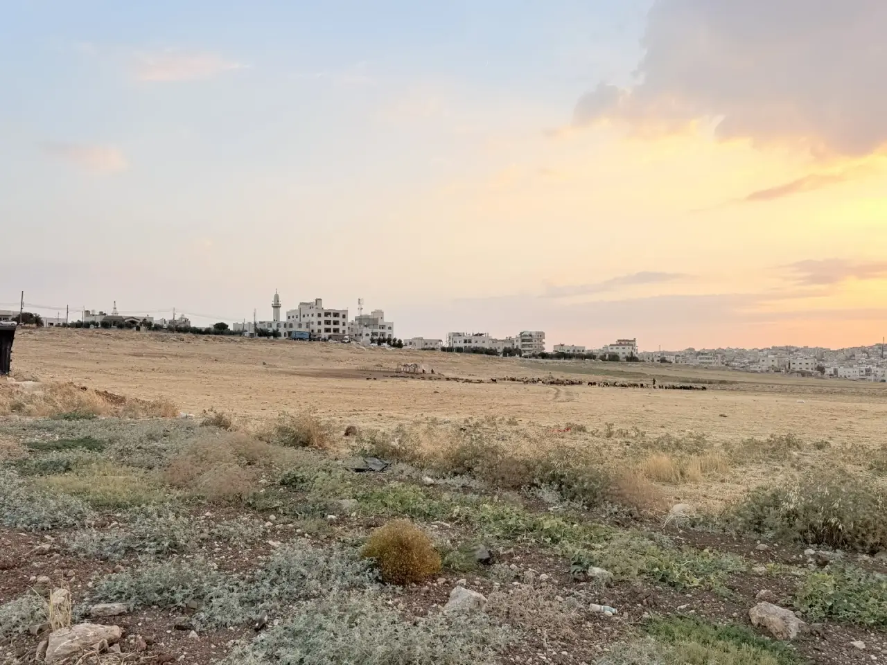 Land for sale in Al Jwaydeh – photo 3