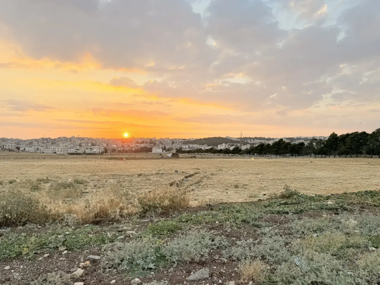 Land for sale in Al Jwaydeh – photo 7