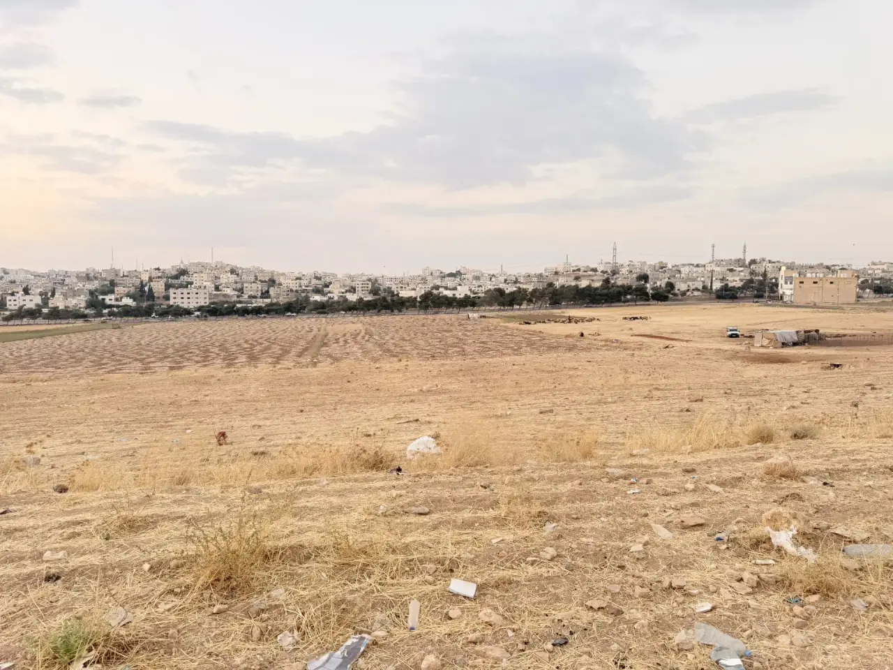 Land for sale in Al Jwaydeh – photo 2