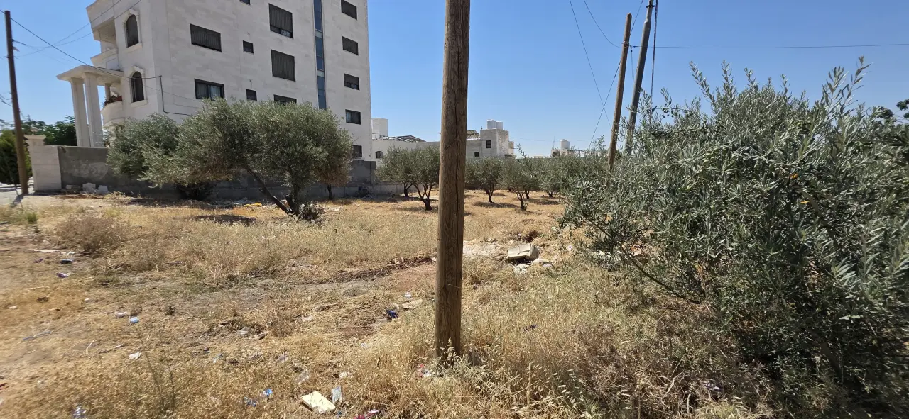Land for sale in Al Jwaydeh – photo 4