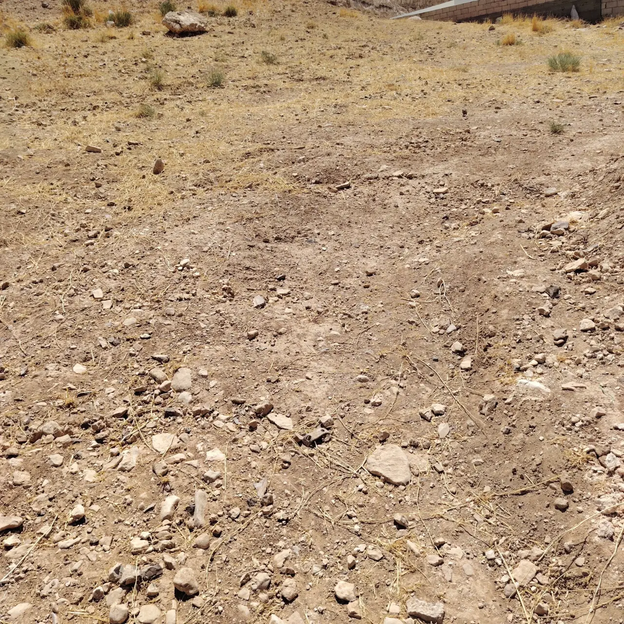 Land for sale in Alkhashafia – photo 12