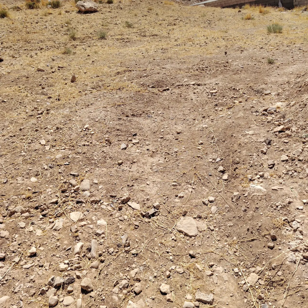 Land for sale in Alkhashafia – photo 6